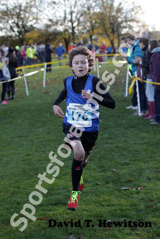 Blue 176, 2012 Start Fitness North East Harrier League, Blaydon.